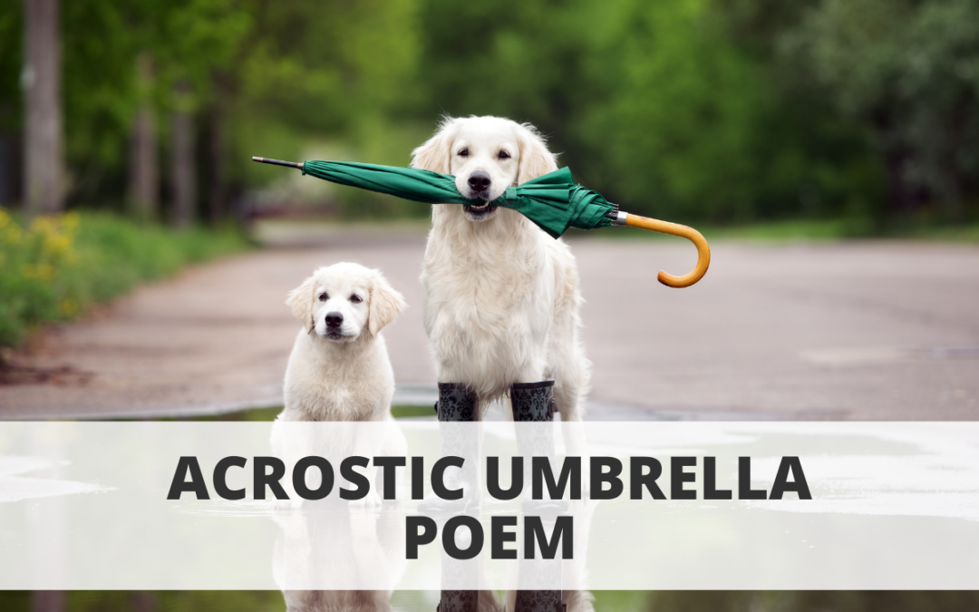 Acrostic Umbrella Poem