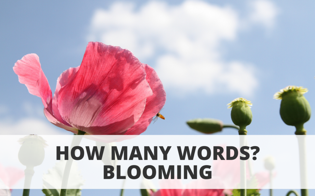 How Many Words? Blooming