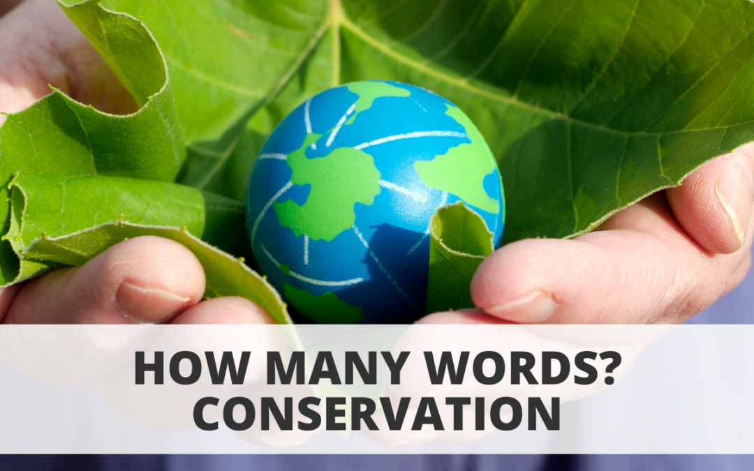 How Many Words? Conservation
