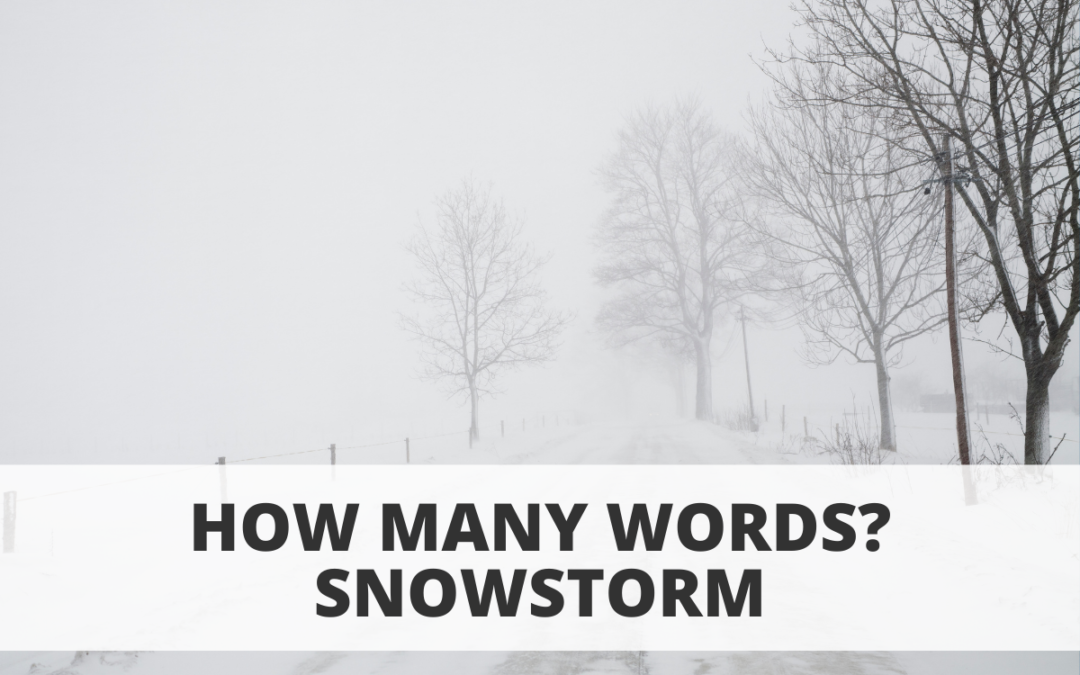 How Many Words? Snowstorm