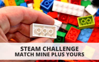 STEAM Challenge: Match Mine Plus Yours