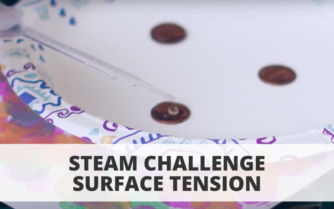 STEAM Challenge Surface Tension