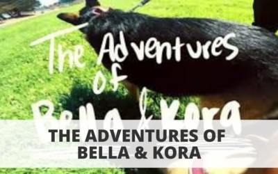 The Adventures of Kora & Bella