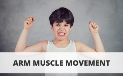 Arm Muscle Movement