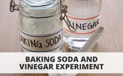 Baking Soda and Vinegar Experiment