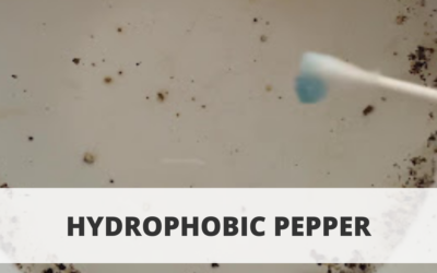 Hydrophobic Pepper