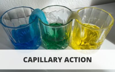 STEM Experiment: Capillary Action