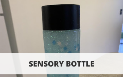 Sensory Bottle