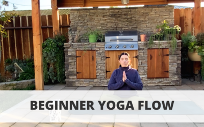 Beginner Yoga Flow