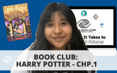 Book Club: Harry Potter – Chp. 1