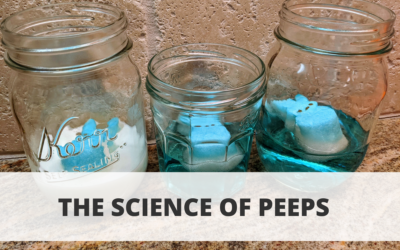 The Science of Peeps
