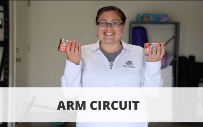 Arm Circuit