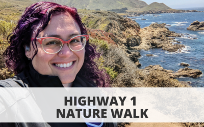 Highway 1 Nature Walk