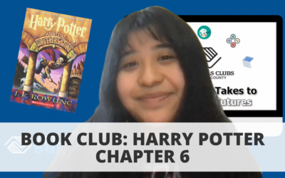Book Club: Harry Potter – Chapter 6