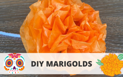 DIY Marigolds