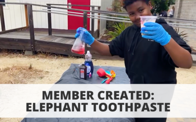Member Created: Elephant Toothpaste
