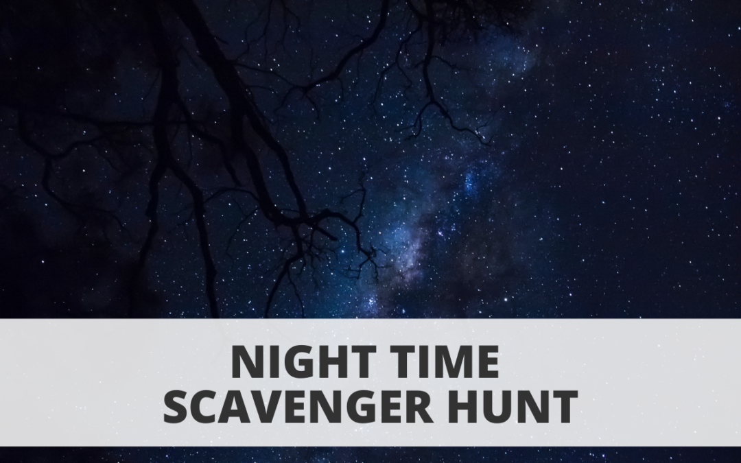 Night Time Scavenger Hunt