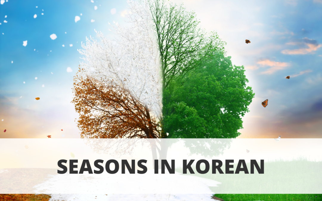 Seasons in Korean