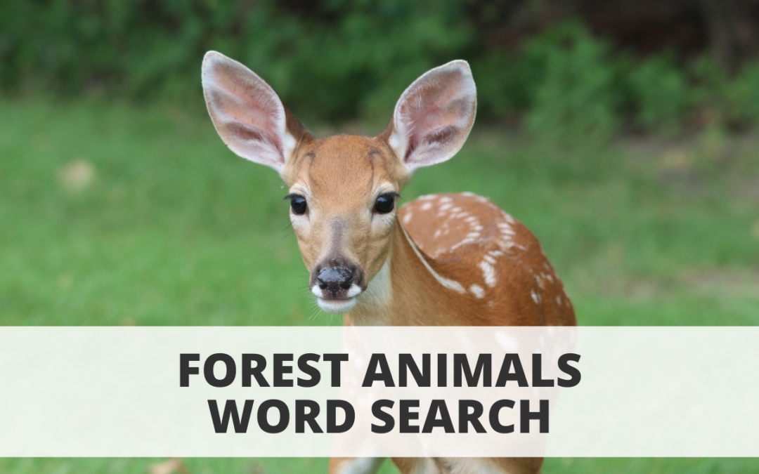 Forest Animals Word Search