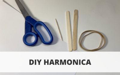 DIY Harmonica