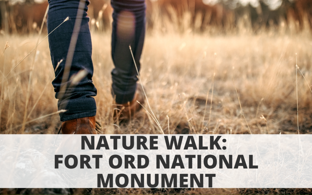 Nature Walk: Fort Ord National Monument