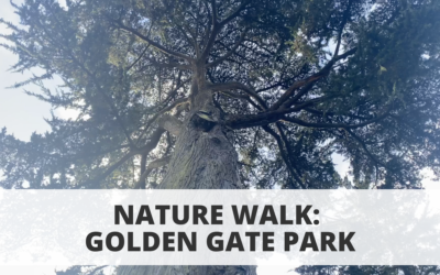 Nature Walk: Golden Gate Park