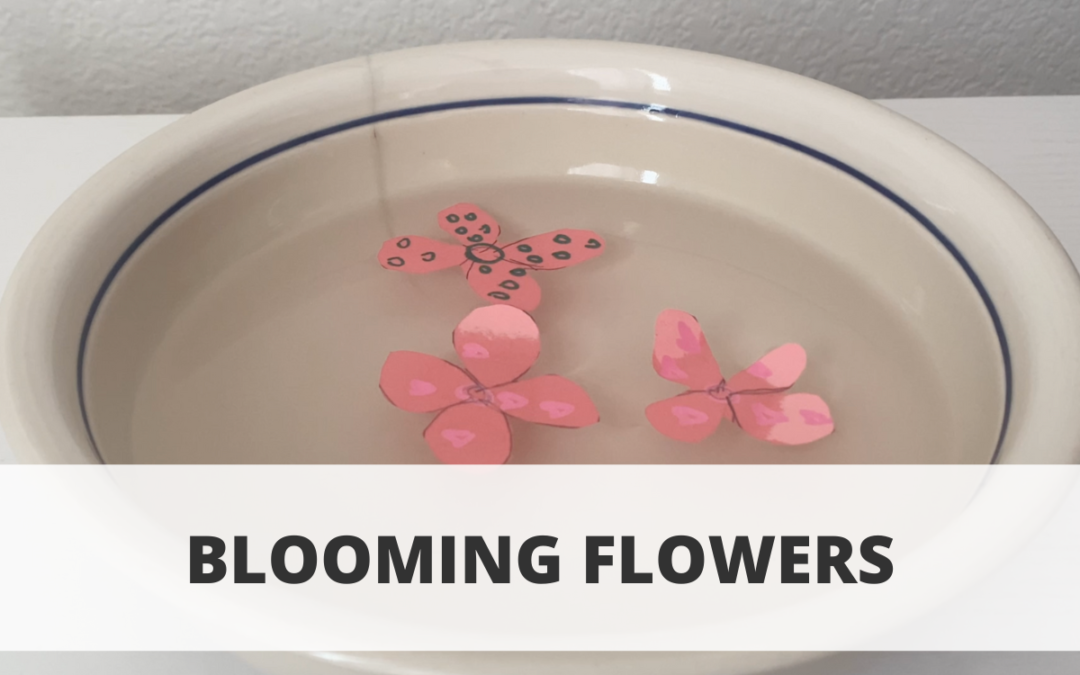 Blooming Flowers
