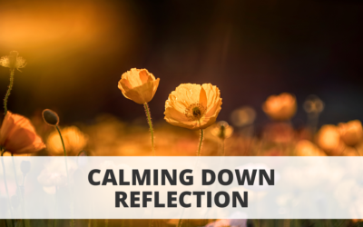 Calming Down Reflection