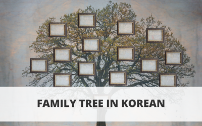 Family Tree in Korean