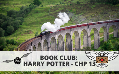 Book Club: Harry Potter – Chapter 13