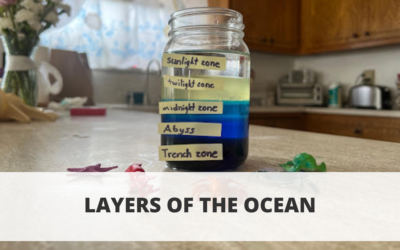 Layers of the Ocean