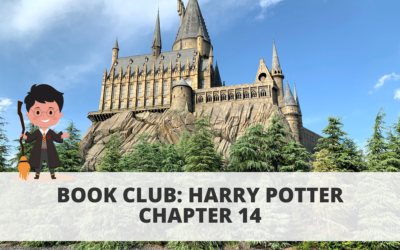 Book Club: Harry Potter – Chapter 14