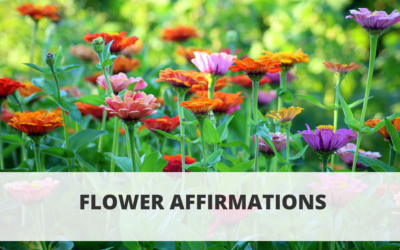 Flower Affirmations