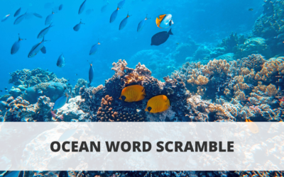 Unscramble the Ocean Words