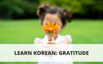 Learn Korean: Gratitude