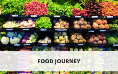 Food Journey