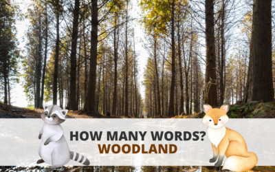 How Many Words? – Woodland
