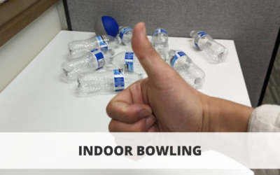 Indoor At Home Bowling