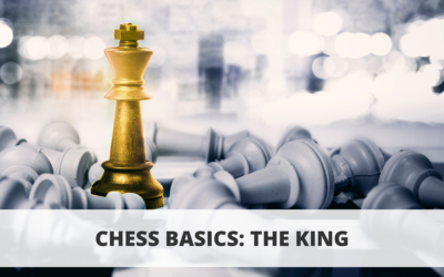 Chess Basics: The King