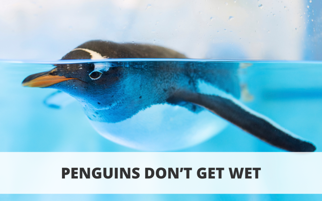 Penguins Don’t Get Wet
