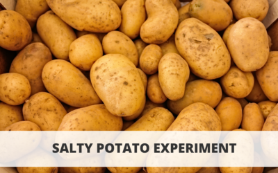 Salty Potato Experiment