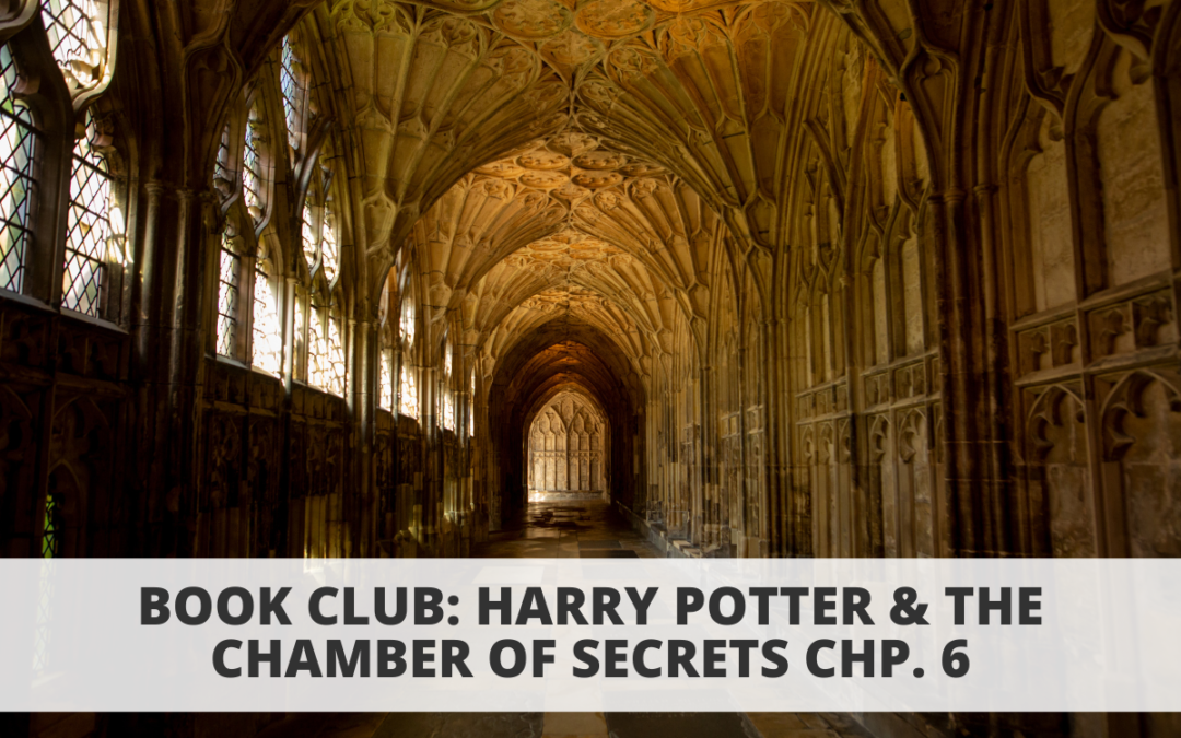 Book Club: Harry Potter & the Chamber of Secrets- Chp. 6