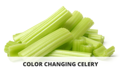 Color Changing Celery