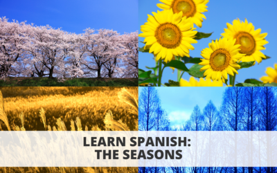 Learn Spanish: The Seasons