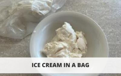 Ice Cream in a Bag