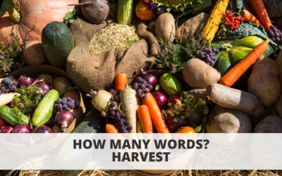 How Many Words? Harvest